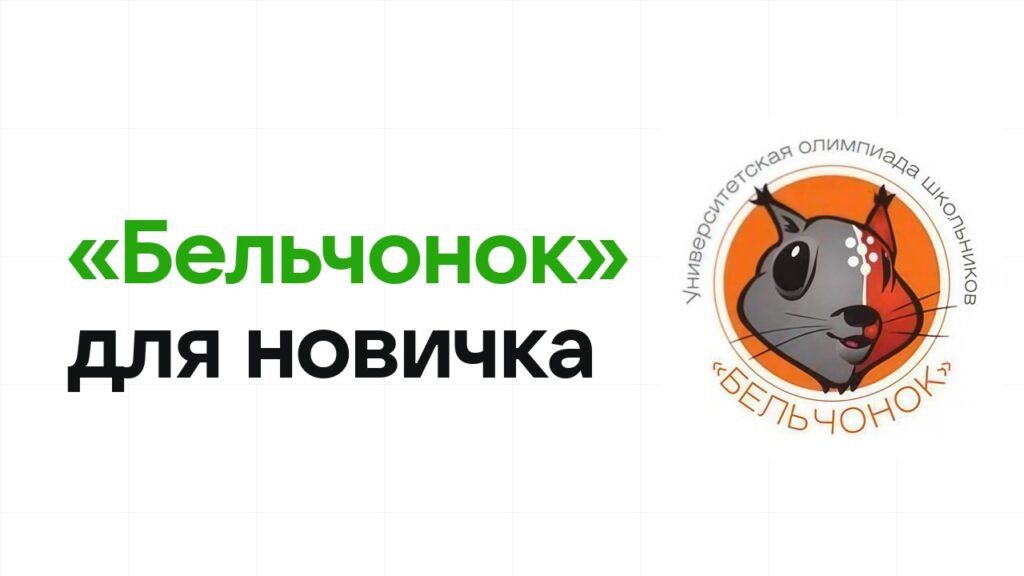 Олимпиада «Бельчонок» для новичка: с чего начать подготовку